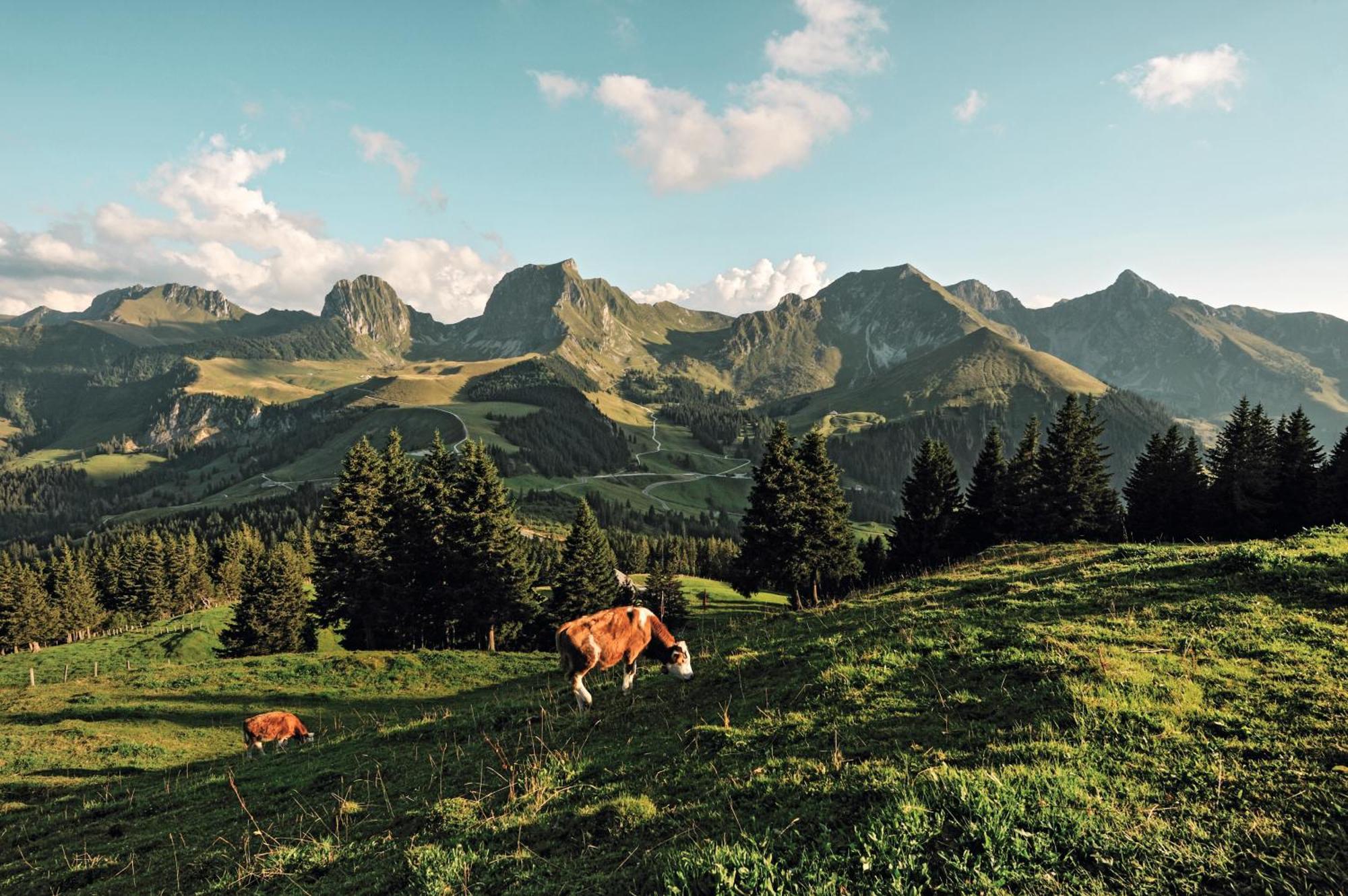 Hotel Sonne - Self Check-In Schwarzenburg ภายนอก รูปภาพ